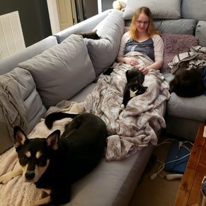 Meet your Posher, Ashley